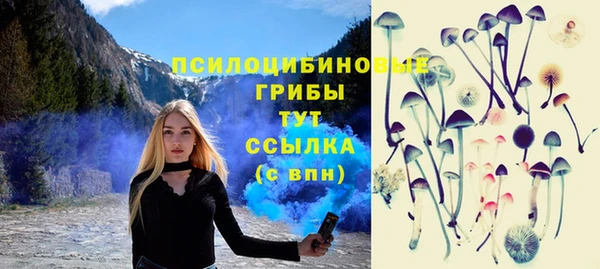 прущие грибы Нефтегорск