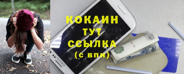 гашик Нефтекумск