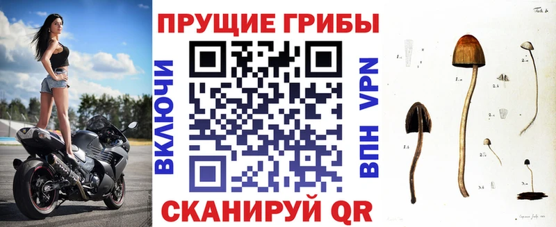 Галлюциногенные грибы мухоморы  Лысково 
